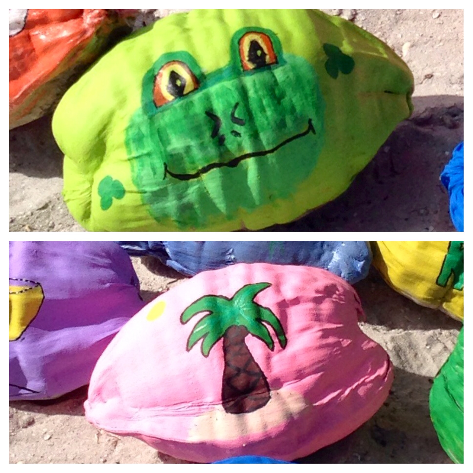 I must give credit where credit is due. The frog was painted by my mother-in-law Carol Riley. Turns out she's an excellent crafter! The palm tree (and the coconut with Patrick on it) were painted by Jennifer a senior at Labelle High School who helped to paint coconuts while she waited for her father.